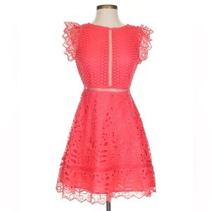 BB Dakota Ariane Coral Lace Ruffle Sleeve A-line Dress